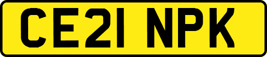 CE21NPK
