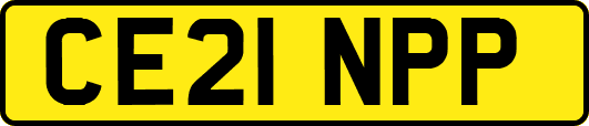 CE21NPP