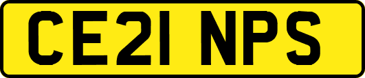 CE21NPS