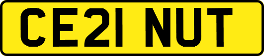 CE21NUT