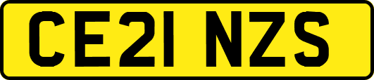 CE21NZS
