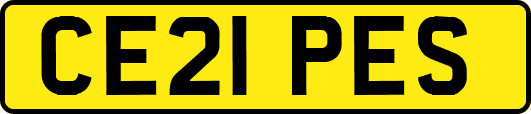 CE21PES