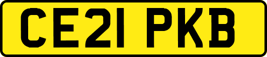 CE21PKB