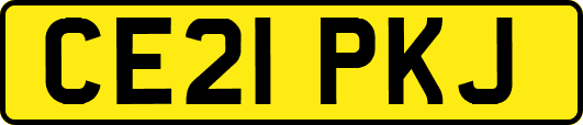 CE21PKJ