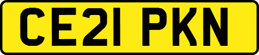 CE21PKN
