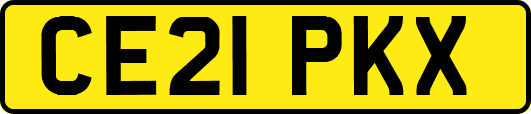 CE21PKX