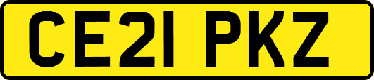 CE21PKZ