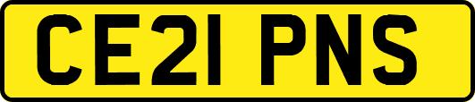 CE21PNS