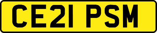 CE21PSM