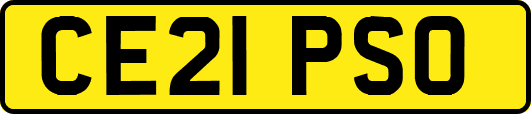CE21PSO