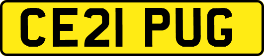 CE21PUG