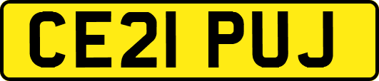 CE21PUJ