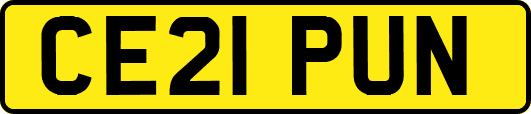 CE21PUN