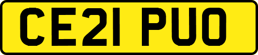CE21PUO