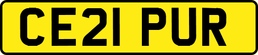 CE21PUR