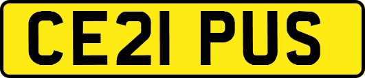 CE21PUS