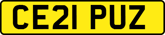 CE21PUZ