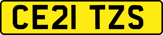 CE21TZS