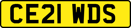 CE21WDS