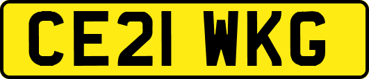 CE21WKG