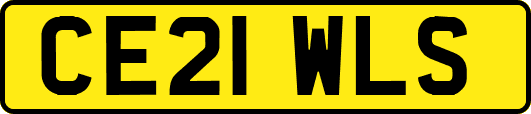 CE21WLS