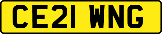 CE21WNG