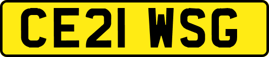 CE21WSG
