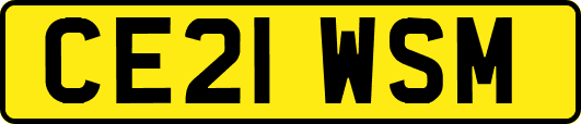 CE21WSM