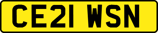 CE21WSN