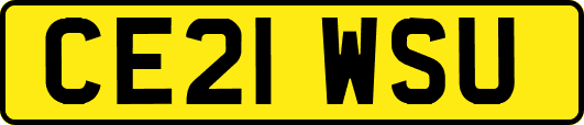 CE21WSU