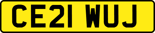 CE21WUJ