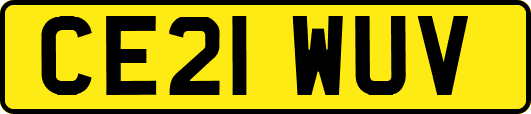 CE21WUV