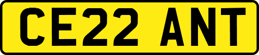 CE22ANT