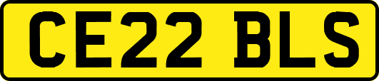 CE22BLS