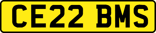 CE22BMS