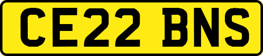 CE22BNS
