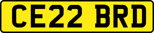 CE22BRD