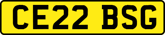 CE22BSG