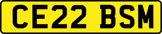 CE22BSM