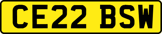 CE22BSW