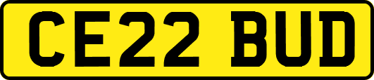 CE22BUD
