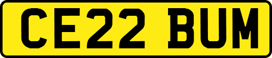 CE22BUM