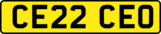 CE22CEO