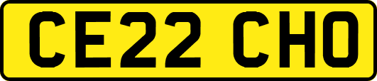 CE22CHO