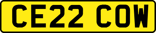 CE22COW