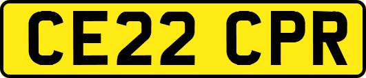 CE22CPR