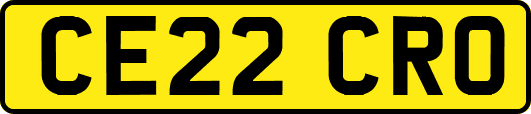 CE22CRO