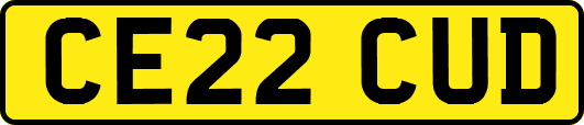 CE22CUD