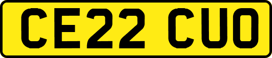 CE22CUO