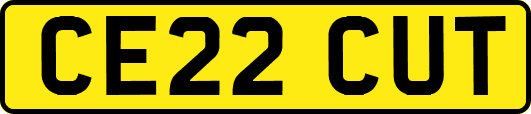 CE22CUT